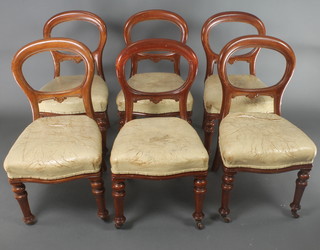 A set of 6 Victorian mahogany balloon back dining chairs with over stuffed seats, raised on turned supports 