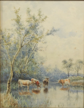 Alice Cooper, watercolour, study of cattle standing in a stream, signed 13 1/4" x 10 1/4" 