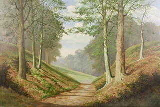 David Mead, oil on canvas, a landscape study near Midhurst Sussex 20" x 30" 