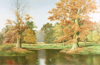David Mead, oil on canvas, a landscape Autumnal study, signed 25" x 34" 