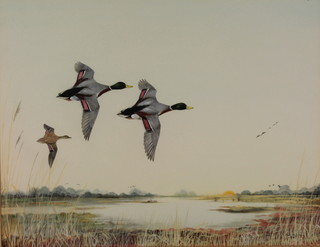 Peter Hayman, watercolour, a study of flying ducks in an extensive landscape, signed 14" x 18"