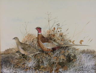 Peter Hayman, watercolour, a study of pheasants in an Autumn landscape, signed, 17" x 22" 