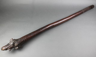 A 19th Century Fiji root wood war club with 3 kill marks and decorated grip 39" 