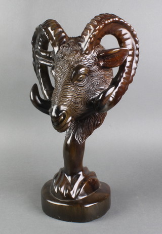 A carved hardwood figure of a rams head, raised on a circular base 17" 
