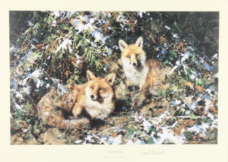 David Shepherd, a limited edition coloured print "Winter Foxes" signed 11" x 15 1/2" 