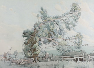 Knighton Hammond, watercolour drawing, impressionist downland scene with tree, buildings and cattle, 21 1/2" x 30" 