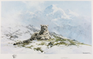 David Shepherd, a limited edition signed coloured print "Snow Leopard" 18" x 28" 

