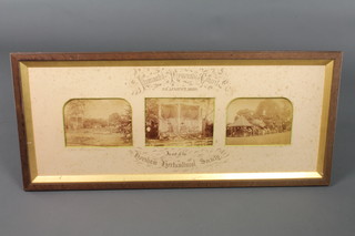 J Hicks, a Horsham photographer, 3 19th Century photographs - Illuminated Promenade Concert in aid of Horsham Horticultural Society 29th August 1889 6" x 8", contained in oak frames 