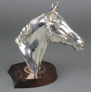 A filled silver horse head trophy on a horse shoe shaped wooden socle, 7" 