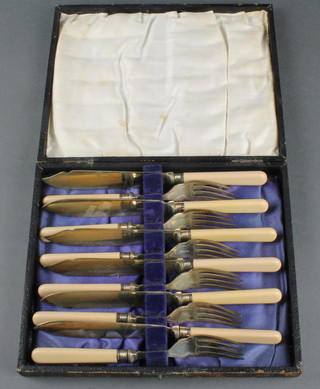 A set of cased fisher eaters for 6 