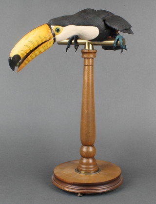 A composition figure of a toucan standing on a brass and turned wood perch by Richard Roberts 15" 