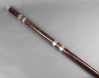 An Edwardian otter hunting stick with 4 silver mounted season bands for the seasons 1902, 1903, 1904 & 1908 and 36 tally marks