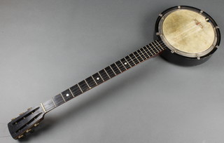 A 5 stringed banjo