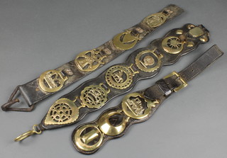 Three leather martingales hung 12 horse brasses