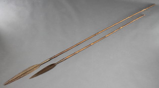 A spear with 15" shield shaped blade together with 1 other with 12" leaf shaped point 