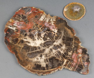 A section of agate 11" and 1 other section 3" 