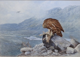 John Cyril Harrison, watercolour,  an eagle eating a rabbit in a Scottish mountainous setting 10 1/2" x 14 1/2"