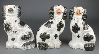 A pair of Victorian Staffordshire spaniels with black decoration 10" and a single ditto 10"