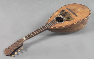 A mandolin, labelled Il Globo 