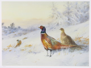 Archibald Thorburn, a set of 4 limited edition prints, game birds, 12' x 19"