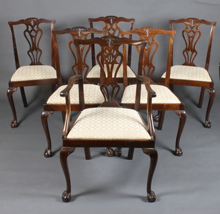 A set of 6 Edwardian Chippendale style mahogany slat back dining chairs with upholstered drop in seats, raised on cabriole supports, 1 with arms