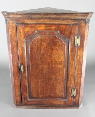 A Georgian oak hanging corner cabinet with moulded cornice, the interior fitted shelves enclosed by an arch panelled door with H framed brass hinges, 38 1/2"h x 16 1/2"w x 30"d 