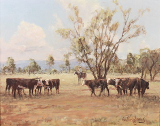 Carl Van Nieuwmans, oil on board, signed, an Australian landscape "Cattle Undoolya Stn" 15 1/2" x 19 1/2" 