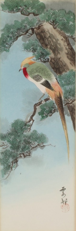 Japanese watercolours, signed, studies of birds 4 1/2" x 3 1/2" 
