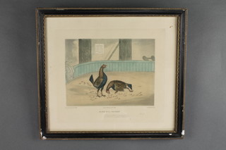 C R Stock, engravings, cock fighting scenes, numbers 1-6, "A Start, Getting to Work, Business, Fast Locked, One Down and Victory" 6" x 8" 