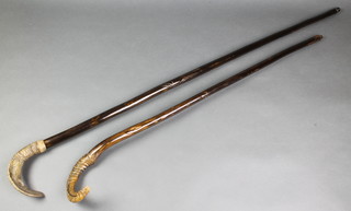 2 walking sticks with ram horns handles 