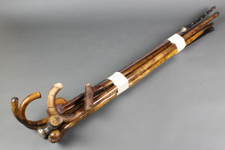 A mahogany walking cane with silver mount (dented), 7 other sticks and a riding whip 