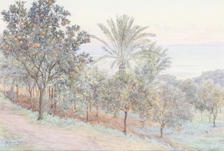Beatrice Parsons, watercolour, Algiers, a study of an orchard with distant town and sea, signed 10" x 14 1/2" 