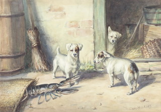 Chris Meadows, watercolour, signed, a study of Jack Russell Terriers frightened by a lobster appearing from a basket 16 1/2" x 19 1/2" 