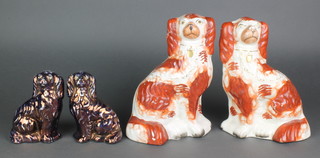 A pair of Victorian Staffordshire ochre spaniels with gilt decoration 9" and a smaller later lustre pair 6" 