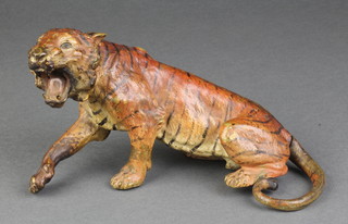 An good early Austrian cold painted bronze figure of a seated tiger 8" 