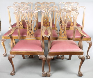 A set of 8 Edwardian Chippendale style slat back dining chairs with upholstered drop in seats, raised on cabriole supports 