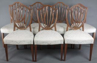 A set of 6 and 1 very similar 19th century Hepplewhite style shield back carved dining chairs with over stuffed seats, raised on square tapered supports 