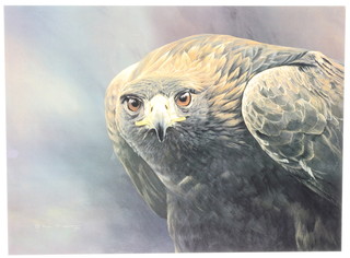 Alan M Hunt 1992, a coloured print, signed and numbered in pencil 322/950, study of a Golden Eagle 15" x 21" 