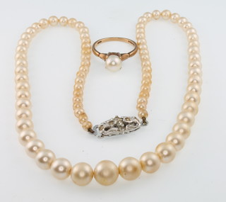 A 9ct yellow gold cultured pearl ring, size L and a cased imitation pearl necklace 