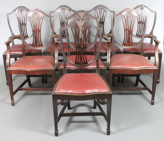 A set of 8 Edwardian Hepplewhite style shield back dining chairs with carved ears of corn, raised on square tapering supports ending in spade feet and with H framed stretchers,  comprising 2 carvers, 6 standard 