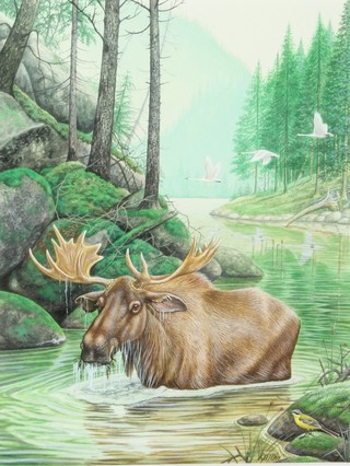 Richard W Orr, watercolour, signed, study of a moose in a river landscape with geese in the background 10 1/4" x 8" 