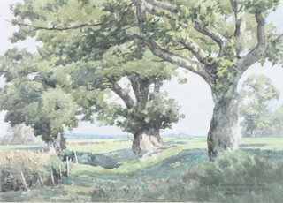 E C Pascoe Holman, watercolour, signed, "Old Oaks at Bisterne Park Hampshire" 10 1/2" x 14 1/2" 