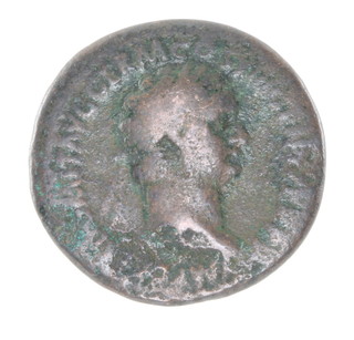 Eight Roman bronze coins