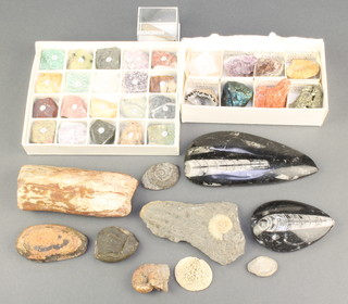 A shallow box containing 20 various geological samples and a collection of fossils