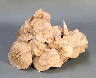 A large section of desert rose 14"h x 18"w 