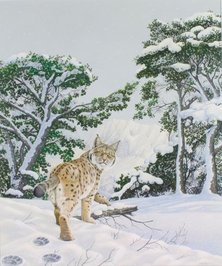Richard W Orr, watercolour, signed, a study of a lynx in an extensive winter landscape 25" x 21" 
