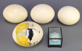 Four various ostrich eggs and one other