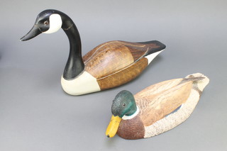 A Relvidge carved figure of a mallard duck, based dated September '93 17" together with a painted figure of a Canada Goose 22" 