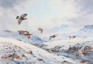 John Cyril Harrison, watercolour, signed, 
"Late in the season grouse" 13" x 8 1/2" 