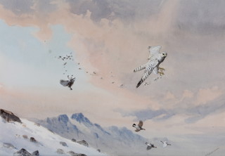 John Cyril Harrison, watercolour, signed "Making The Feathers Fly", label on verso 12 3/4" x 18 1/4" 